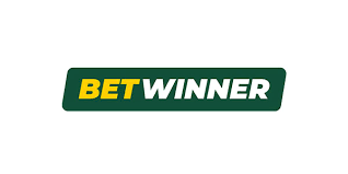 BetWinner Casino A Comprehensive Guide to Online Gaming