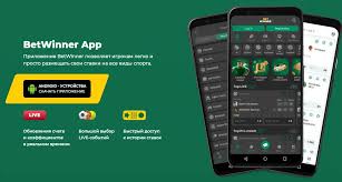 Complete Guide to BetWinner Registration Process -832421855 Complete Guide to BetWinner Registration Process -832421855