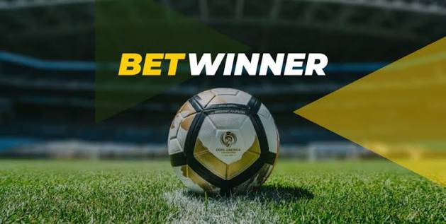 Comprehensive Review of BetWinner Casino Your Ultimate Guide