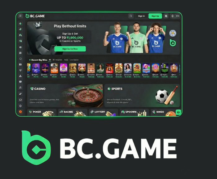 Exploring the Exciting Features of the BC.Game Online Platform